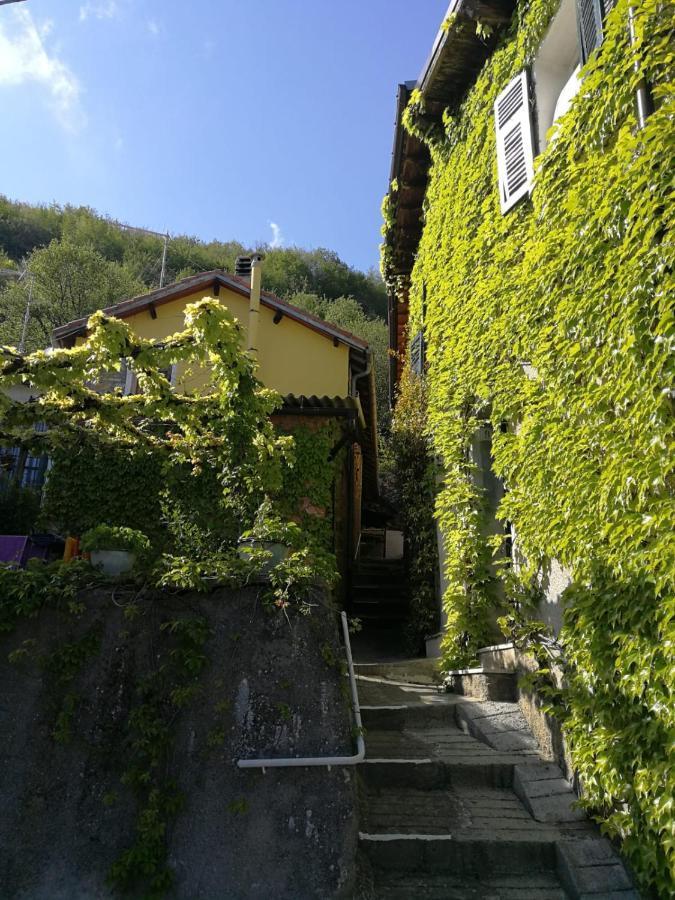 Casale Maria Mafalda Pieve di Teco Eksteriør bilde