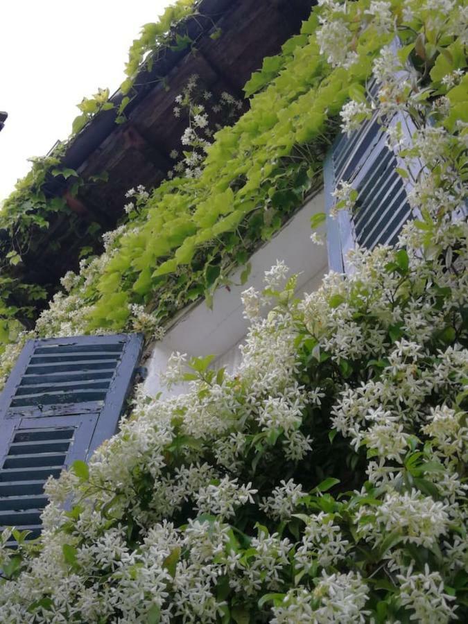 Casale Maria Mafalda Pieve di Teco Eksteriør bilde